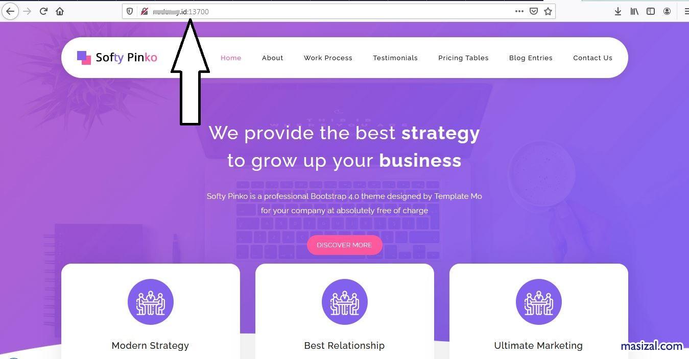 vps nat web statis